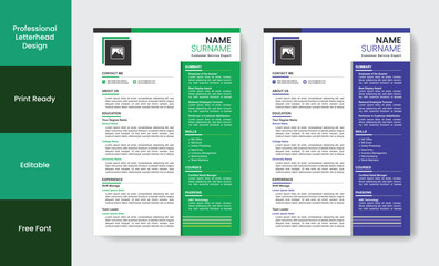 Professional unique resume design template