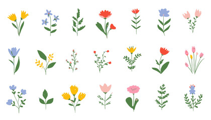Spring and Summer Hand-Drawn Flowers Set � Wildflowers, Leaves, Herbs, and Plants Collection on White Background for Floral Icons