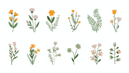 Obraz premium Spring and Summer Hand-Drawn Flowers Set � Wildflowers, Leaves, Herbs, and Plants Collection on White Background for Floral Icons