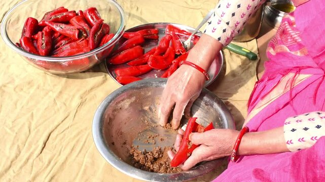 Indian woman filling masala in red chilli pickle . old lady with red bangle in hand . 