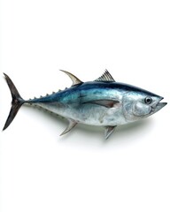 Obraz premium Fresh Tuna Fish Isolated on White Background Studio Shot Close Up Macro Detail Seafood Ingredient Raw Food