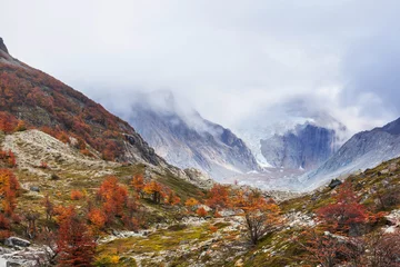 Gordijnen Autumn in Patagonia © Galyna Andrushko