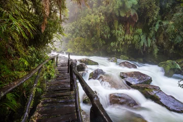 Gordijnen Creek in South Chile © Galyna Andrushko