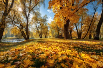 Autumnal landscape in park with golden foliage and sunlight shining through trees low angle view in nature setting