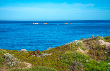 Coastal Landscape with Carcass Boat and Indian Ocean view on a Sunny Day at Burns Beach, City of Joondalup, Western Australia, 11 April 2020