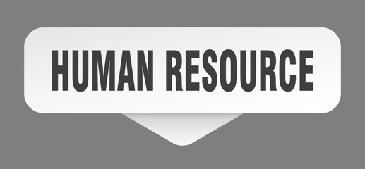 human resource sticker. human resource sign isolated on gray background
