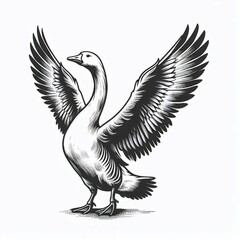 Obraz premium Majestic Goose Black and White Engraved Illustration with Wings Spread
