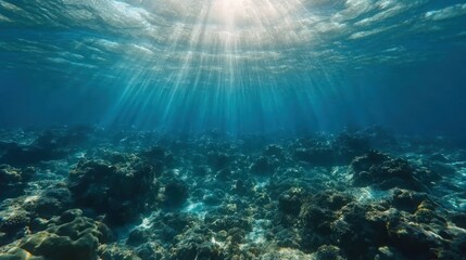 Sunbeams pierce the underwater coral reef