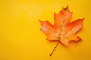 Vibrant orange maple leaf on a yellow background symbolizing autumn