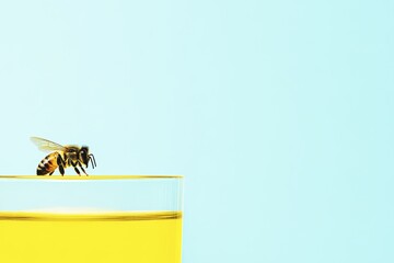 Naklejka premium Bee resting on glass of honey against light blue background