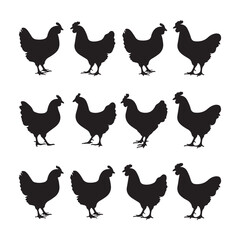 Chicken and bird silhouette set with farm animal icons and illustrations