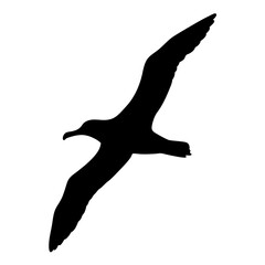 Black albatross flying silhouette vector illustration seabird soaring albatross drawing design element