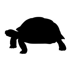 Black silhouette of a tortoise vector illustration reptile turtle graphic design animal art slow moving creature