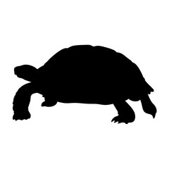 Downloadable tortoise silhouette vector image for crafting and graphic design projects vector art