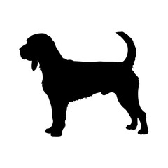 Silhouette of a basset hound dog breed standing profile vector illustration drawing art image