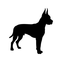 Black great dane dog silhouette vector image for pet lovers and dog breed enthusiasts design needs