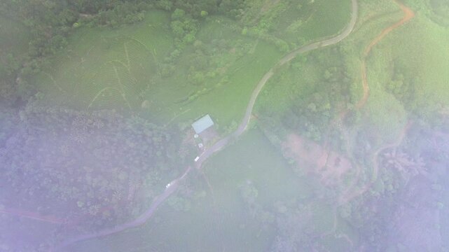 Ariel shot of tea plantations in vagamon, Kerala, India. Vagamon is a hill station located in Kottayam- Idukki border of Kerala	

