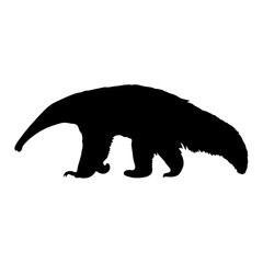 Discover the giant anteater silhouette vector art for wildlife animal designs and projects