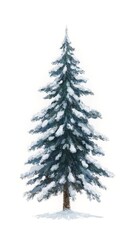 Fototapeta premium Snowy pine tree silhouette