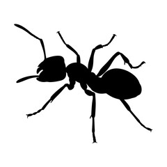 Ant silhouette vector image for design projects insect illustration pest control design element