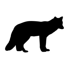 Black silhouette of a standing wolf vector illustration wildlife animal predator canine design art