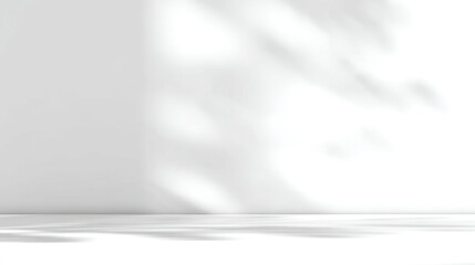 Abstract scene with shadows of foliage on a white wall and floor