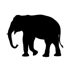 Fototapeta premium Black elephant silhouette vector illustration african wildlife animal graphic design template art
