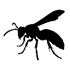 Black wasp silhouette vector illustration graphic design insect hornet pest control clip art drawing