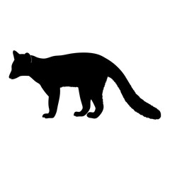 Discover the silhouette of a civet cat vector graphic wildlife animal illustration image design