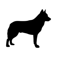 Downloadable vector image of a black german shepherd silhouette breed profile for design needs