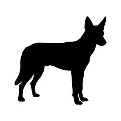 Download black silhouette of dog vector image for graphic design and illustration projects now online here