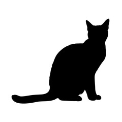 Black cat silhouette vector image for halloween designs and pet lovers graphic resources download