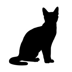 Black cat silhouette vector illustration of feline pet sitting profile domestic animal art design