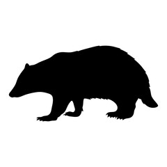 Badger silhouette vector illustration, wildlife animal black and white graphic design template © IsratJahan