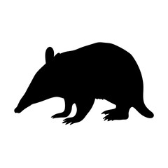 Discover the silhouette of an armadillo mammal vector image for wildlife animal designs and projects