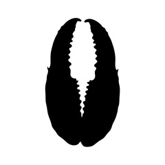 Crab claw vector illustration for seafood restaurant logo design and marine life clip art projects design