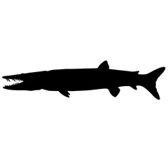 Barracuda fish silhouette vector illustration great barracuda sea animal predator marine life design