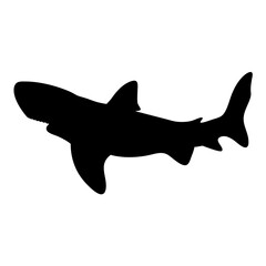 Shark silhouette vector graphic ocean predator sea animal marine life illustration design template