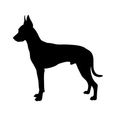 Dog silhouette vector art: download high quality doberman pinscher silhouette graphic design now