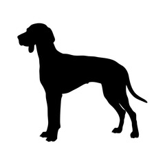 Vizsla dog silhouette vector image for design projects and digital artwork needs download now free