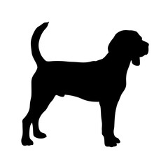 Dog silhouette vector image of a beagle hound breed standing profile for pet lovers and designers