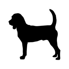 Black silhouette of a bloodhound dog breed vector art for pet lovers and dog enthusiasts design