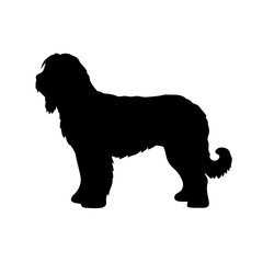 Find black spanish water dog silhouette vector image for pet lovers and dog breed enthusiasts online