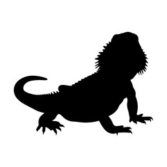 Bearded dragon silhouette vector image for reptile pet lovers and design enthusiasts alike