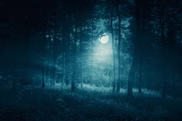 full moon in dark scary woods, halloween night landscape © andreiuc88