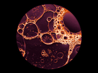 microscopy colorful abstract science background