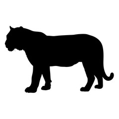 Black tiger silhouette vector illustration predatory animal wildlife feline design template isolated art