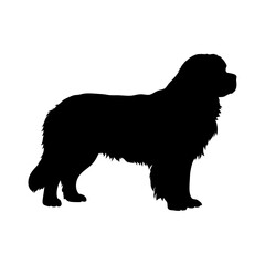 Newfoundland dog silhouette vector art, newfoundland breed illustration, dog breed graphic design