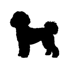 Black silhouette of a poodle dog breed standing profile vector illustration graphic design art 90