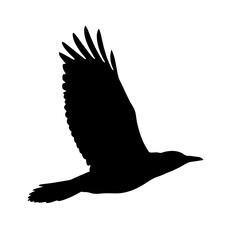 Flying bird silhouette vector image for graphic design and nature illustrations crow raven design